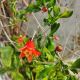 oplus_1048578