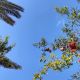 Oplus_1179650