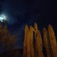 Oplus_1179650